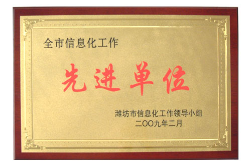 我司榮獲“全市信息化工作先進(jìn)單位”