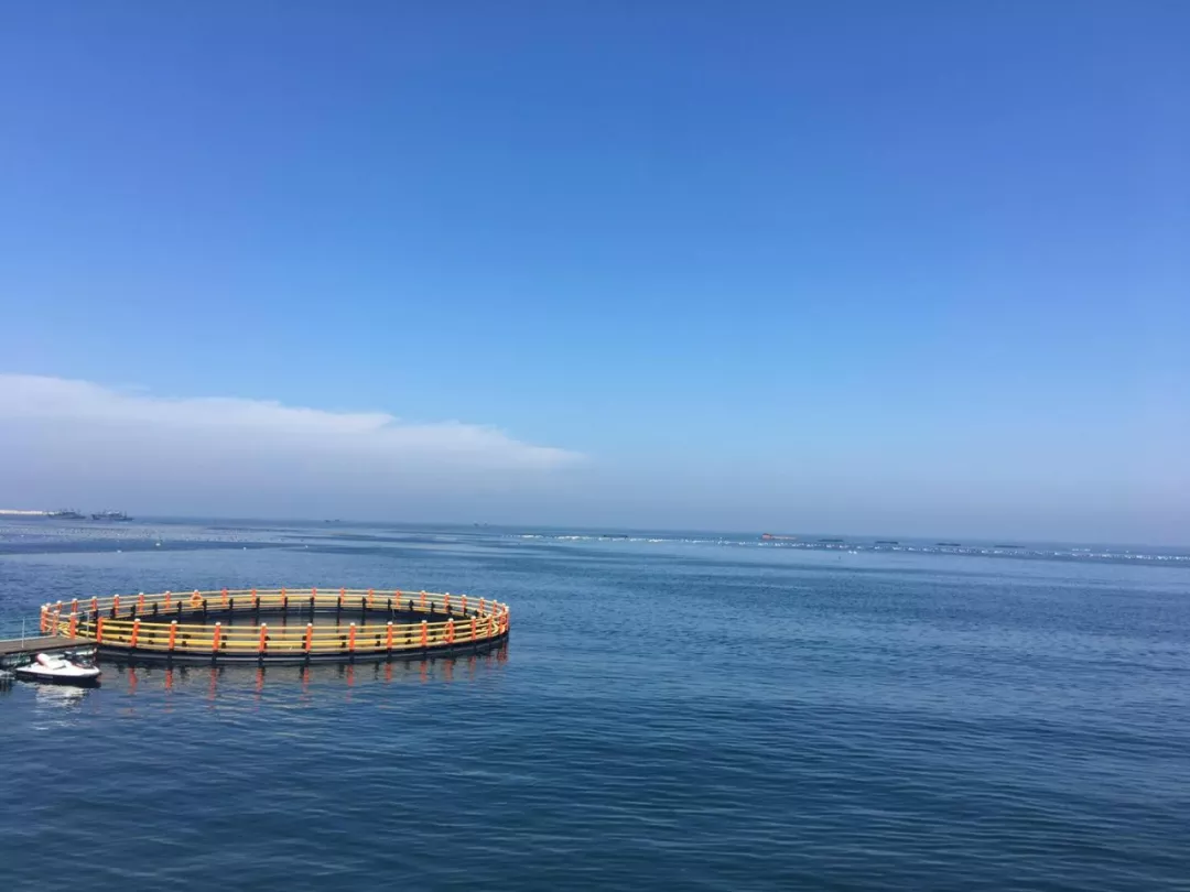 威海二日游，共享夏日情